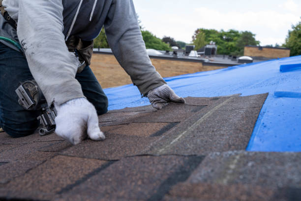 Best Roof Gutter Cleaning  in Pleasant Hill, CA